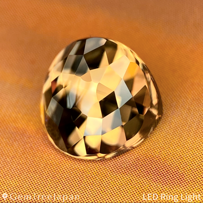 "Golden Lens Eye" Zircon 2.790ct / Tanzania