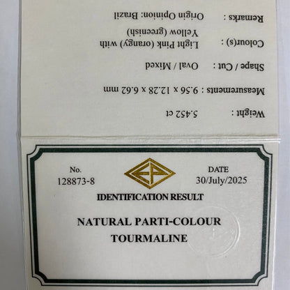 【Nori's Gem】Parti-Color Tourmaline 5.452ct / Brazil