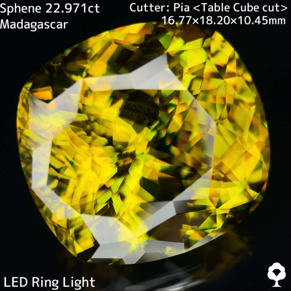 Sphene 22.971ct / Madagascar
