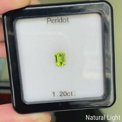 Peridot 1.20ct / U.S.A.