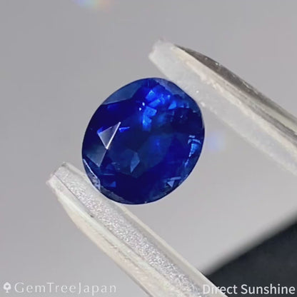 Royal Blue Sapphire 1.158ct / Thailand (Kanchanaburi)