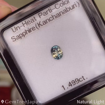Un-Heat Parti-Color Sapphire 1.499ct / Thailand(Kanchanaburi)