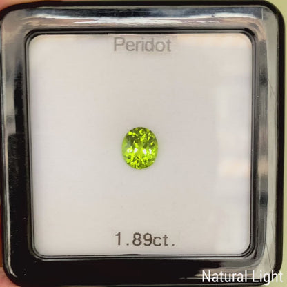 Peridot 1.89ct / Vietnam