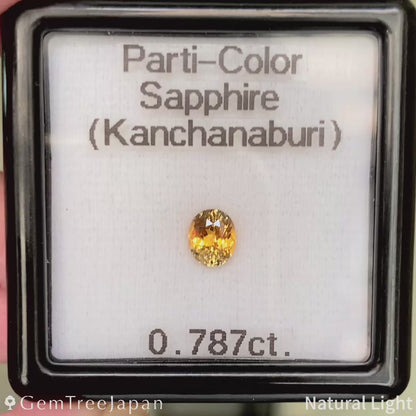 Parti-color Sapphire 0.787ct / Thailand(Kanchanaburi)