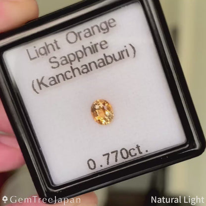 Light Orange Sapphire 0.770ct / Thailand(Kanchanaburi)