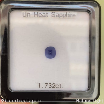 "Sugarloaf & Buff Top Flower" Un-Heat Sapphire 1.732ct / Myanmar (Burma)