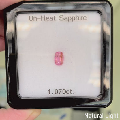 Un-Heat Sapphire 1.070ct / Vietnam