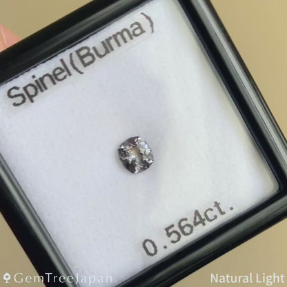 【Trial Price】Grey Spinel 0.564ct / Burma