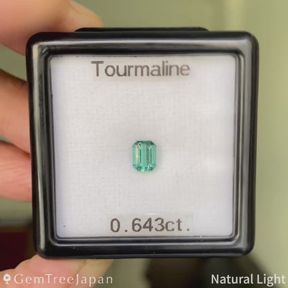 Tourmaline 0.643ct / Mozambique
