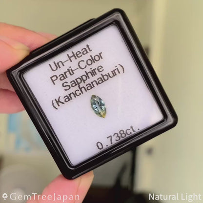 Un-Heat Parti-Color Sapphire 0.738ct / Thailand (Kanchanaburi)
