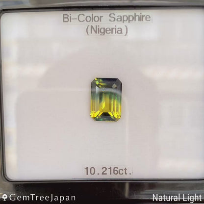 Bi-Color Sapphire 10.216ct / Nigeria