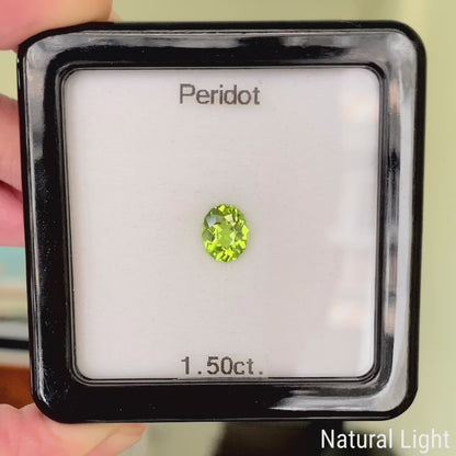 Peridot 1.50ct / Vietnam
