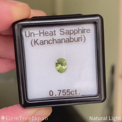 “Narika Cut" Un-Heat Sapphire 0.755ct / Thailand (Kanchanaburi)