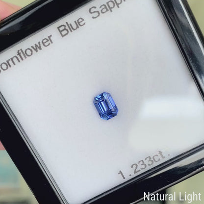 Cornflower Blue Sapphire 1.233ct / Burma