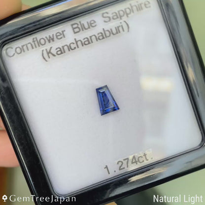 【One Price】Cornflower Blue Sapphire 1.274ct / Kanchanaburi (Thailand)