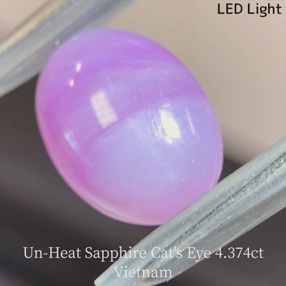 Un-Heat Cat's Eye Sapphire 4.374ct / Vietnam