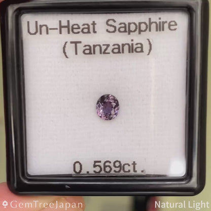 Un-Heat Sapphire 0.569ct / Tanzania