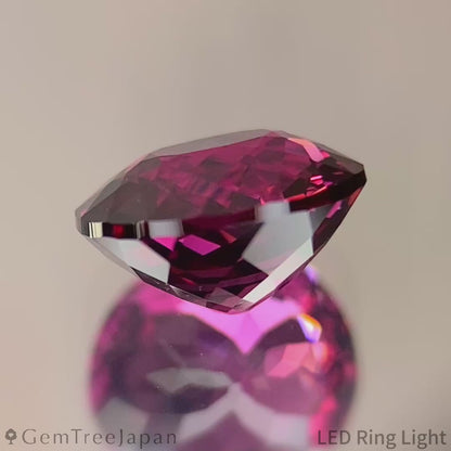 Rhodolite Garnet 1.288ct / Tanzania