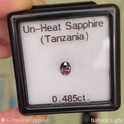 Un-Heat Sapphire 0.485ct / Tanzania