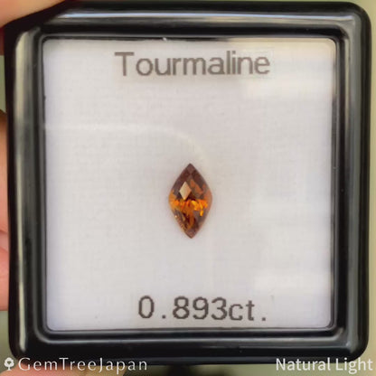Tourmaline 0.893ct / Tanzania