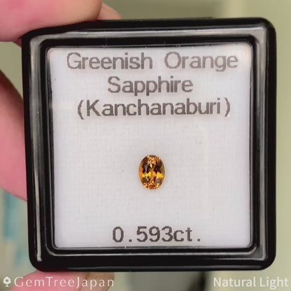 Greenish Orange Sapphire 0.593ct / Thailand(Kanchanaburi)