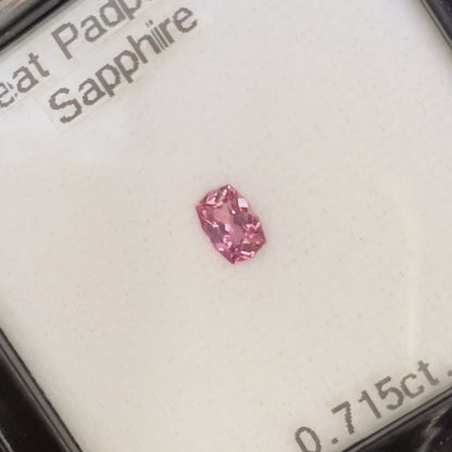 Un-Heat Padparadscha Sapphire 0.715ct / Sri Lanka