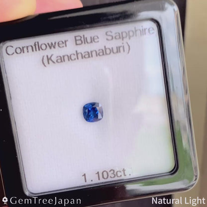 Cornflower Blue Sapphire 1.103ct / Thailand（Kanchanaburi）