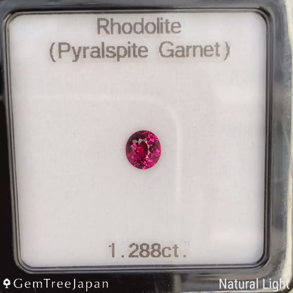 Rhodolite Garnet 1.288ct / Tanzania