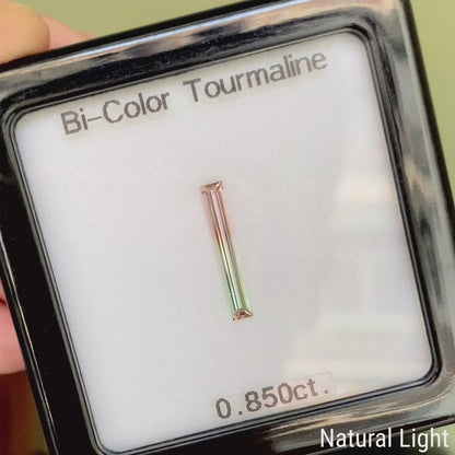 Bi-Color Tourmaline 0.850ct / Vietnam