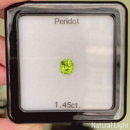 Peridot 1.45ct / Vietnam