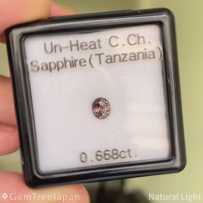 Un-Heat Color-Change Sapphire 0.668ct / Tanzania