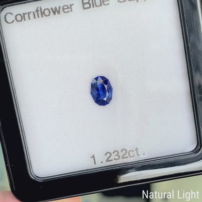 Cornflower Blue Sapphire 1.232ct / Burma