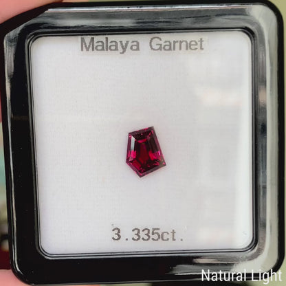 Malaya Garnet 3.335ct / Tanzania