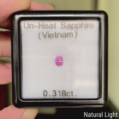 Un-Heat Sapphire 0.318ct / Vietnam