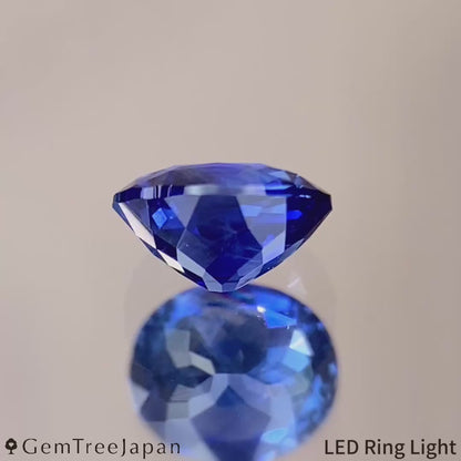 【lulu's Gem】"Spider's Web" Cornflower Blue Sapphire 0.523ct / Madagascar