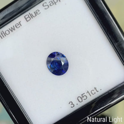 Cornflower Blue Sapphire 3.051ct / Burma