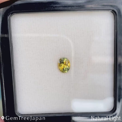 Un-Heat Parti-Color Sapphire 0.923ct / Kanchanaburi