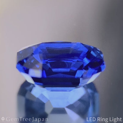 Cornflower Blue Sapphire 1.641ct / Burma