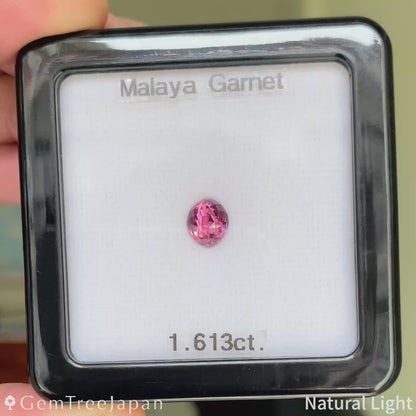 “Blossom Eye" Malaya Garnet 1.613ct / Tanzania 【One Price】