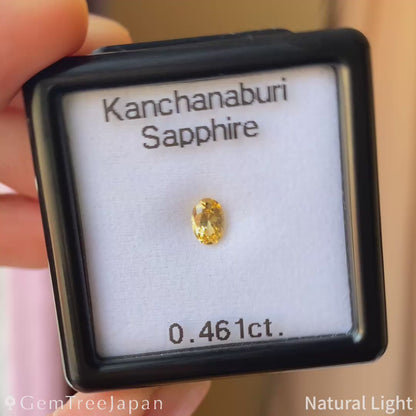 "Narika Cut" Yellow Sapphire 0.461ct / Kanchanaburi (Thailand)