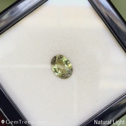 【2/3(火)まで】Alexandrite 2.15ct / Sri Lanka