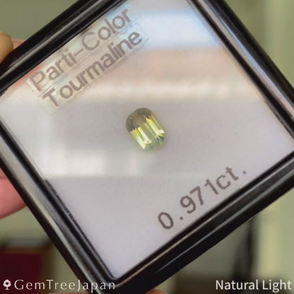 "Super Elegant" Parti-Color Tourmaline 0.971ct / Tanzania