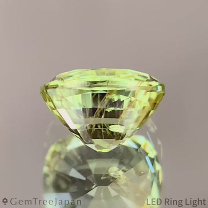 UV Change Tsavorite (Grossular Garnet) 1.387ct / Tanzania