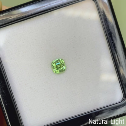 Green Tourmaline 1.260ct / Tanzania