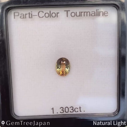 Parti-Color Tourmaline 1.303ct / Madagascar