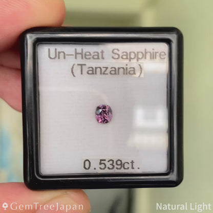 Un-Heat Sapphire 0.539ct / Tanzania