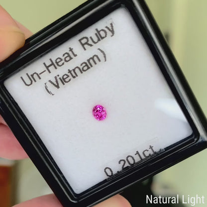 Un-Heat Ruby 0.201ct / Vietnam
