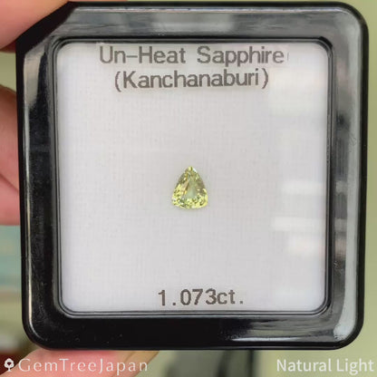 Un-Heat Sapphire 1.073ct / Thailand (Kanchanaburi)