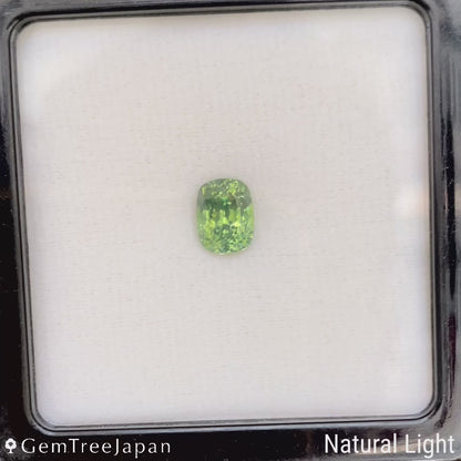 Green Zircon 2.599ct / Sri Lanka