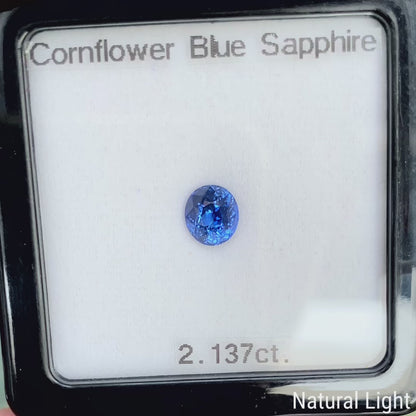 Cornflower Blue Sapphire 2.137ct / Burma